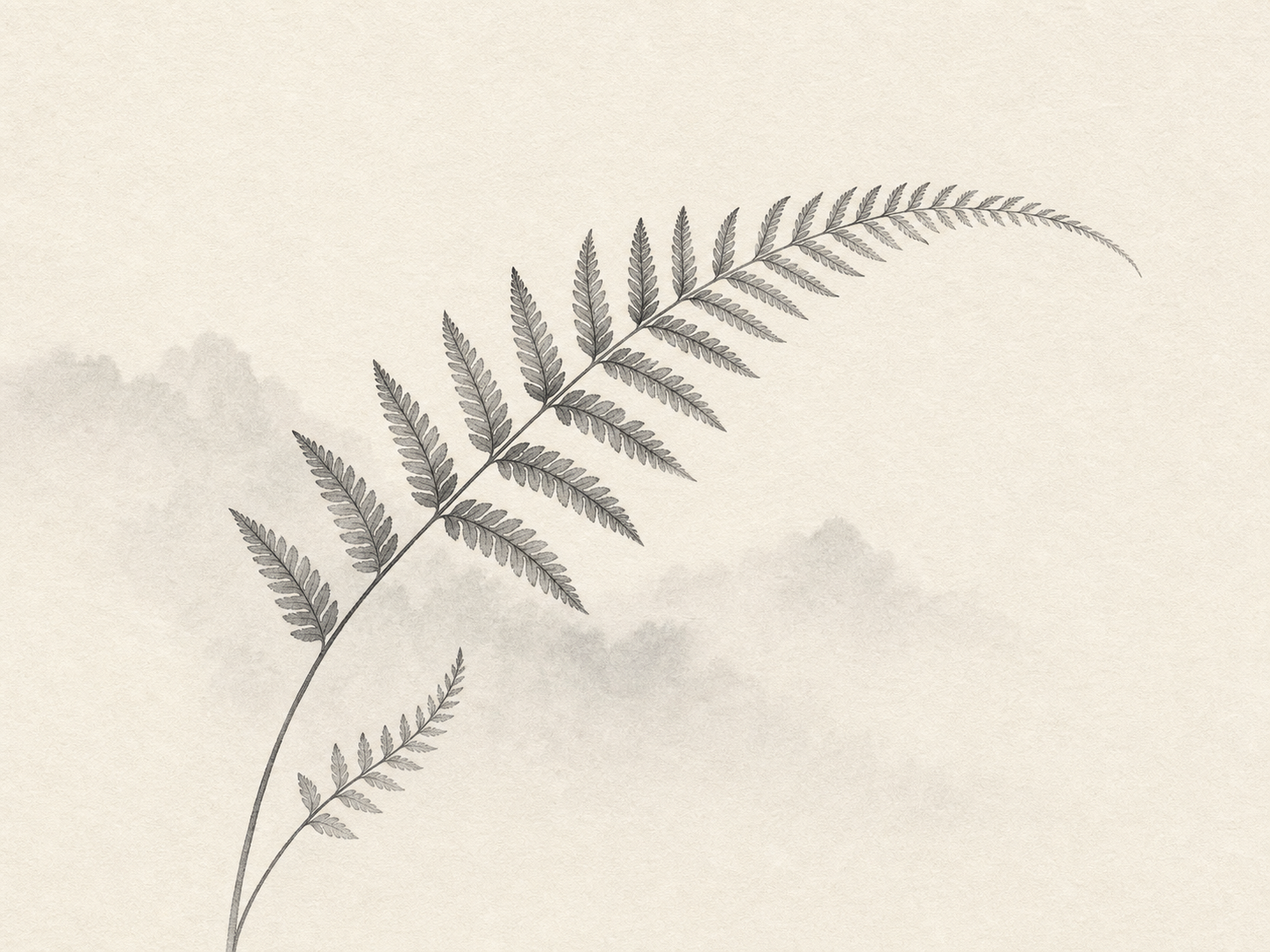 Monochrome botanical artwork of a long arching fern frond with a smaller secondary frond and soft tonal mist.
